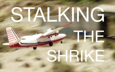 Stalking the Shrike